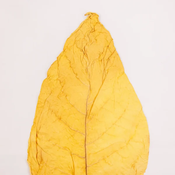 Virginia Class I – (Lemon) – 1/Kg