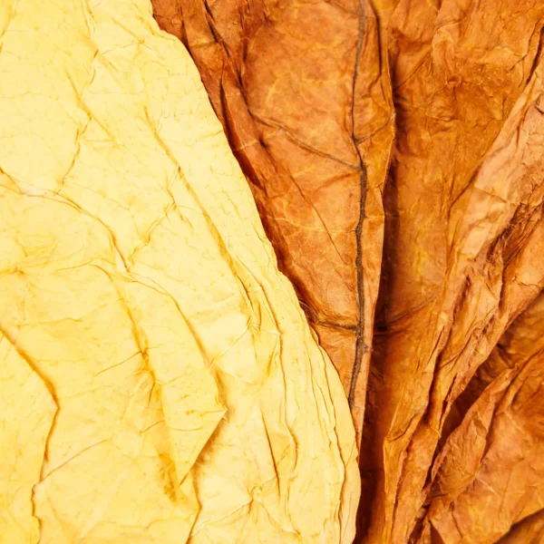 Mix of tobacco leaves – 1/Kg