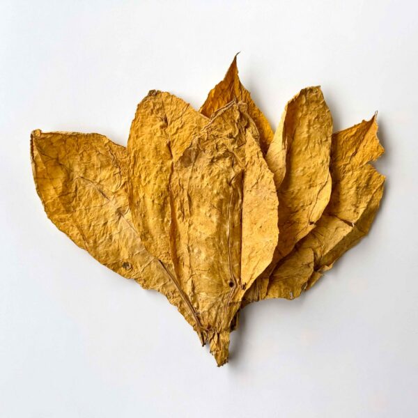 Virginia Class II – (Medium) – 1/Kg